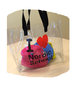 Сумка прозрачная NS